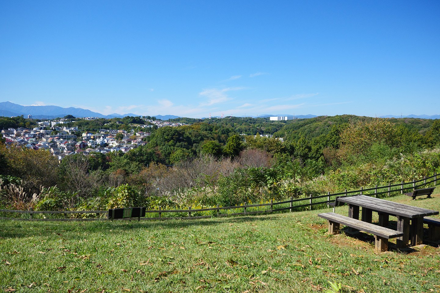 🌳 오야마다 녹지(오야마다료쿠치)
